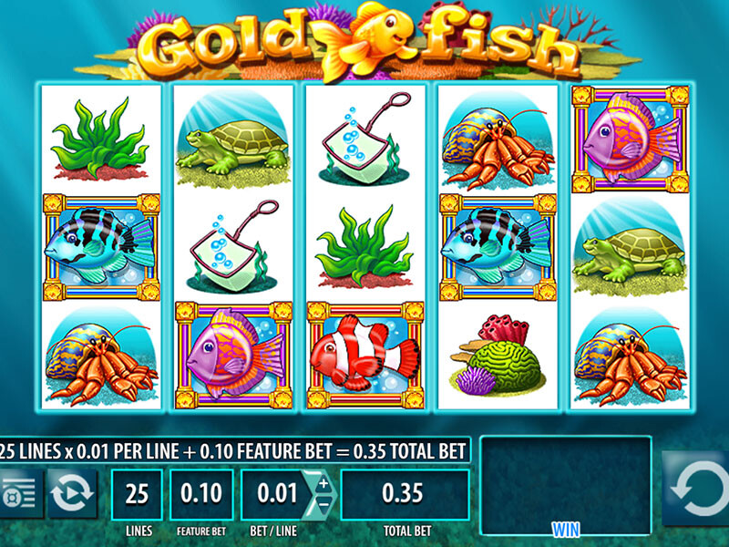 Goldfish Slots Big Win