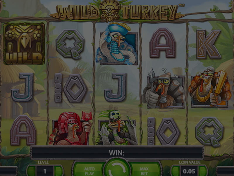 Wild Turkey Pokies Big Win
